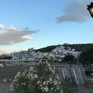 Meet your Posher, Grayce